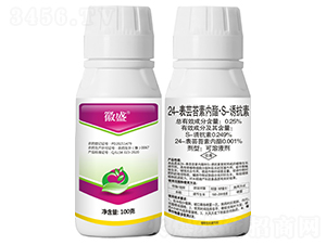 24|̦؃S-Tأ100ˣ-΢ʢ-r