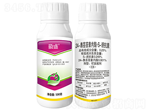 24|̦؃S-Tأ500ˣ-΢ʢ-r