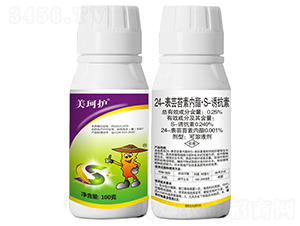 24|̦؃S-Tأ100ˣ-o-r