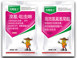 20%衤x(chng)Ҹ+Чȷ-FJʿ-r(nng)