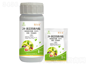 ​24-|̦؃(ni)--S՘(l)