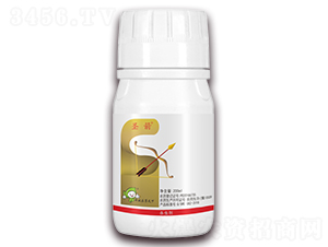 12%׾Sx(chng)-ʥ-S՘(l)