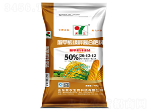 ȩጏͺϷ26-12-12-r(nng)