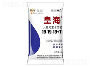 ����Ԫ��ˮ�ܷ���19-19-19+TE-�ʺ�