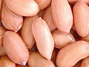 1̖(ho)-N-Sr(nng)I(y)