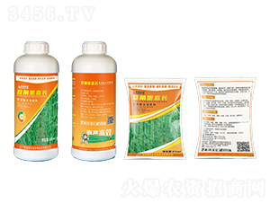 ֱL(zhng)-ķr(nng)I(y)