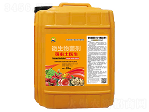 ΢-(qing)r(nng)t(y)-(qing)r(nng)