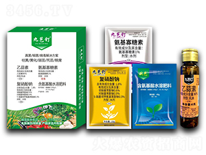 (x)Q-(bio)r(nng)