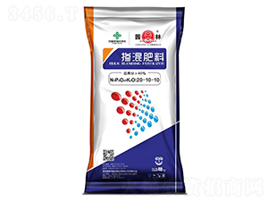 �������20-10-10-�@��-������