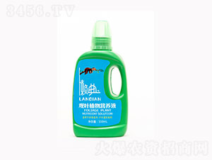 550ml^~ֲI(yng)B(yng)Һ-r(nng)ʢԴ