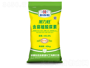 ����������ֲ������-���B��