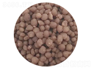 ������@-�dԴ�ʘI(y��)