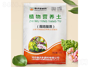 M(jn)̿I(yng)B(yng)-ֶ