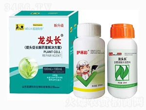 ^L(zhng)ˎQ-^L(zhng)-A