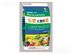 1000gɴw𣨷ۄ-(yng)