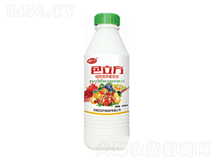 1000mlֲͨIB(yng)ɫ-ɫ-t