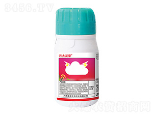 6%׾Sx(chng)Һ-ƴȭ-ێ