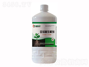 ȫ���������-��������