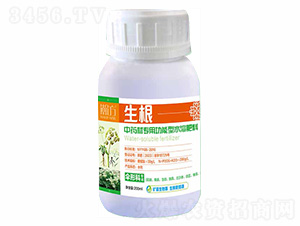 οƌ(zhun)ùˮܷ--嫷r(nng)I(y)