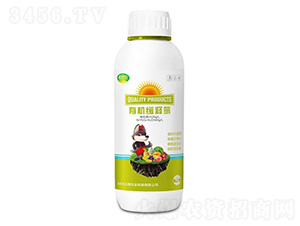 ЙCጵ-Ǭʮ-t̫r(nng)I(y)