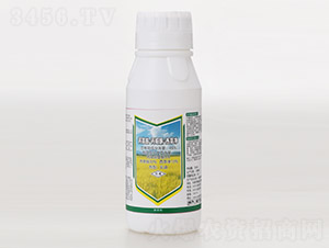 48%ݰfͪ݃-ˮ?dng)?Lpr(nng)ˎ