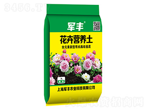 ܠI(yng)B(yng)-܊Sr(nng)I(y)