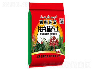 ܠI(yng)B(yng)-ȷ-܊Sr(nng)I(y)