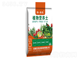 ֲI(yng)B(yng)-n(l)-܊Sr(nng)I(y)