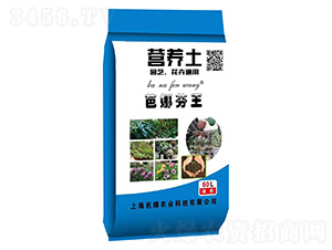 @ˇͨàI(yng)B(yng)-ȷ-܊Sr(nng)I(y)