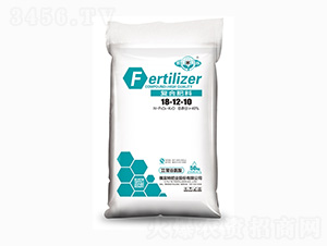 ۹ȰͺϷ18-12-10-r혷-طʘI(y)