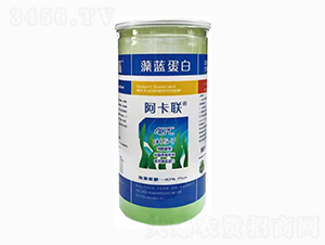 {(ln)-(lin)-˹r(nng)