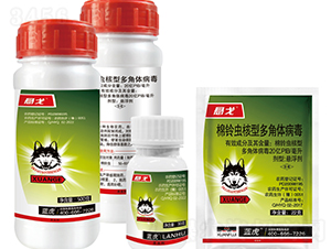 20|PIBx(chng)ͶwҸ-Ҹ-{(ln)-¹چ̵