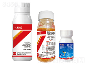 6%աx΢鄩-С+{@-{-¹چ̵