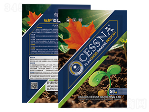 SͪT(do)-(bio)o(h)-ЅRr(nng)I(y)