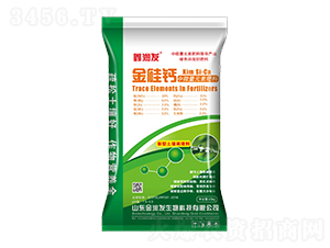 ΢Ԫط-}-Νl(f)-Ą(chung)ţ