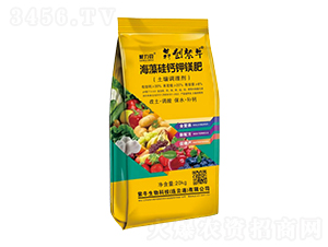 }V({(dio)턩)--Ą(chung)ţ