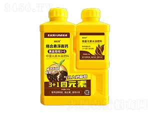 jϑҸ}+F\τ-΄P-Ą(chung)ţ