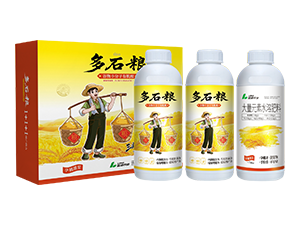 ����С�����ЙC�ᣨ������{��-��ʯ�Z-�{���r�I(y��)