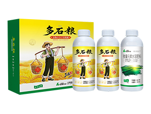 ����С�����ЙC�ᣨ������Y��-��ʯ�Z-�{���r�I(y��)