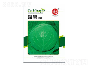 ���{�N��-�������{-���S�r�I(y��)