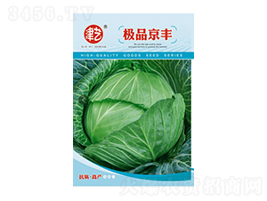 ���{(l��n)�N��-���S-���S�r(n��ng)�I(y��)