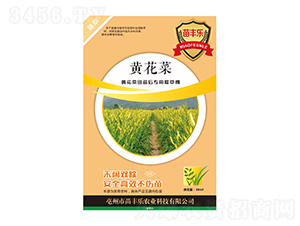 Só݄-S-瘷r(nng)I(y)