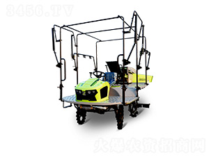 2ZPY-13GC(j)-(lin)r(nng)I(y)