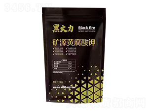 VԴS-ڻ-֠r(nng)I(y)