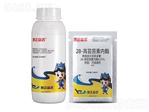 28-|̦؃(ni)Һ-r(nng)