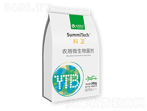 r(nng)΢ž̖(ho)-l(wi)-ס̷