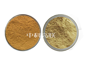 ~(y)ø1̖(ho)+2̖(ho)ˮø-˹r(nng)