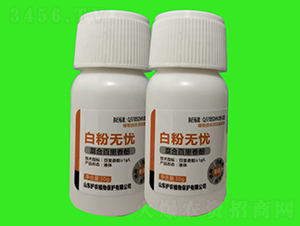 ׷۟on-VVˎ-or(nng)ֲ