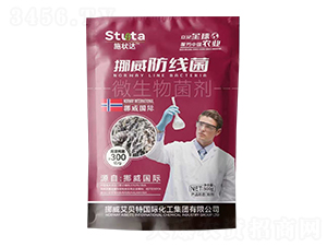 ΢-Ų-ʩ_(d)-(yu)r(nng)I(y)