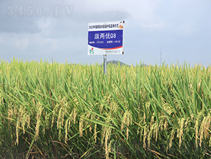 Ƀ(yu)Q8-ˮN-𽡷NI(y)